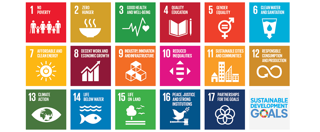 Sustainable Development Goals SDG UN