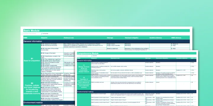 Envoria Excel Template VSME Data Point Checklist