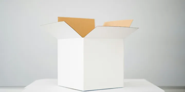 Article EU Packaging and Packaging Waste Regulation PPWR What companies need to know