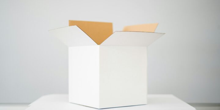 Article EU Packaging and Packaging Waste Regulation PPWR What companies need to know