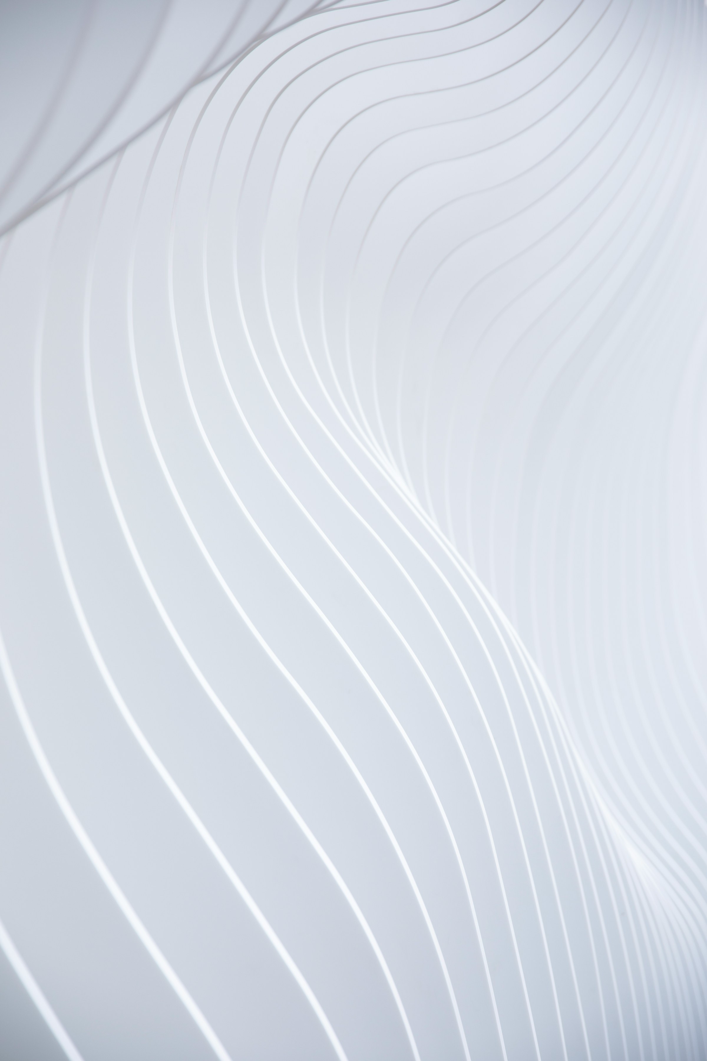 weiß-linien.jpg